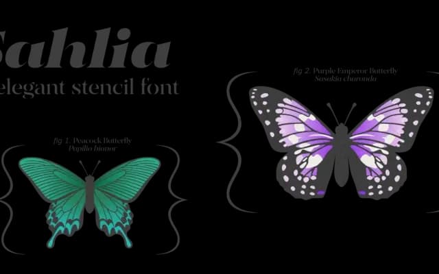 Sahlia specimen from Arcane Type Foundry