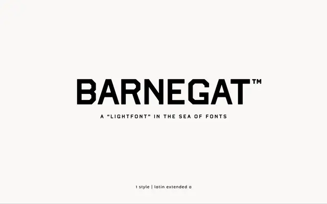 Barnegat specimen from atipo foundry