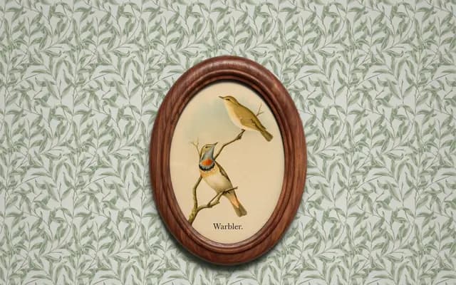 Warbler specimen from David Jonathan Ross