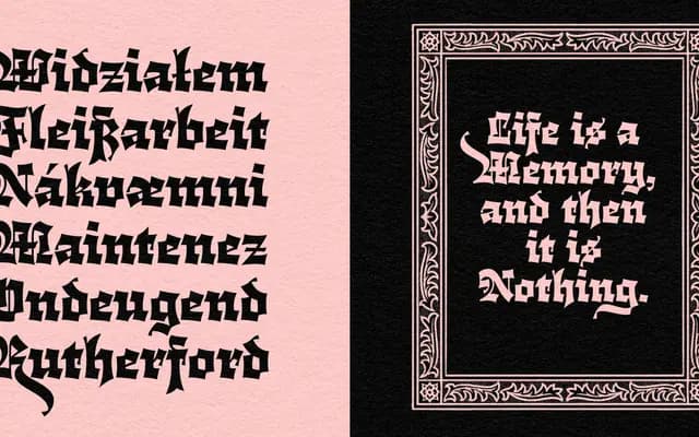 Cloisterfuch specimen from Herzberg Design