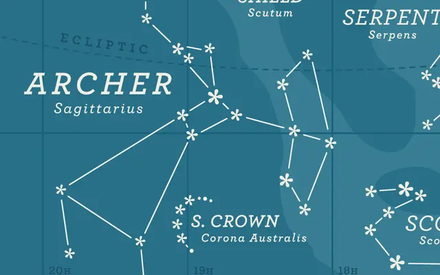 Archer specimen from Hoefler & Co