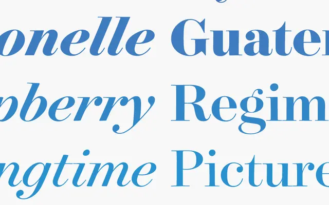 Surveyor specimen from Hoefler & Co