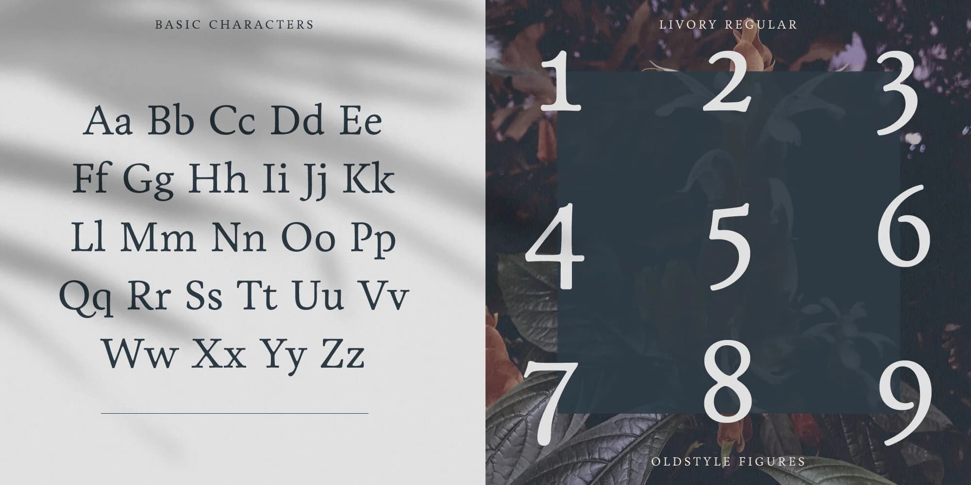 Livory specimen from HvD Fonts