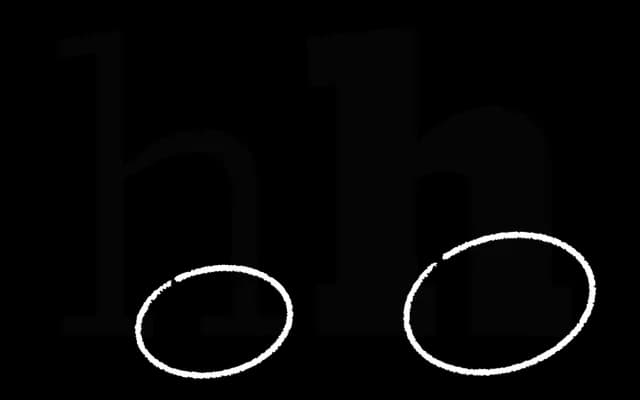 Bezzia specimen from Lettermatic