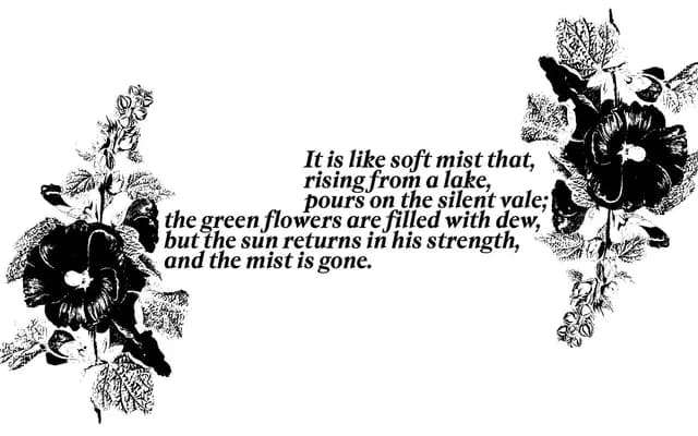 Alcea specimen from Nice To Type