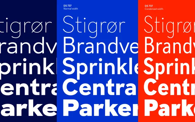 DS 737 Expanded specimen from Playtype